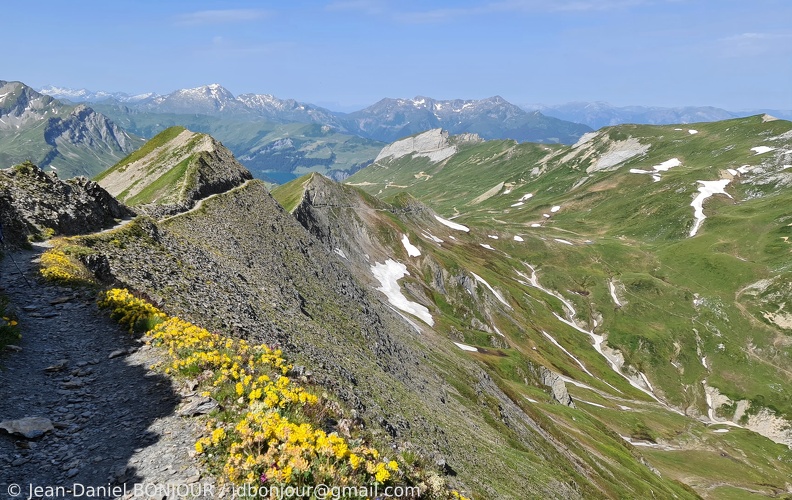Crête des Gittes (2538) au-dessus de Plan-de-la-Lai 2020-07-10 133.jpg