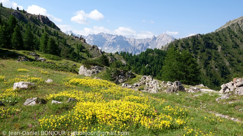 Col Fromage (2301), entre Château-Queyras et Ceillac 2020-07-21 467.JPG