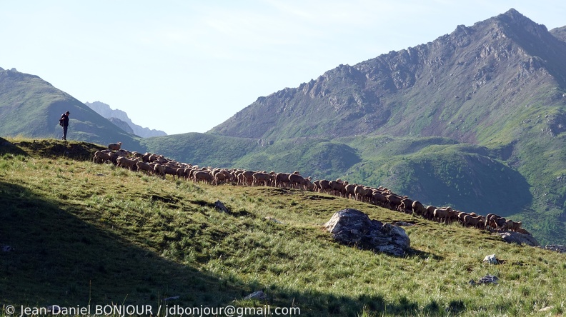 En-dessus de Fouillouse, sur le chemin du Col du Valonnet 2020-07-23 539.JPG