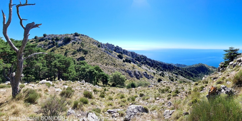 Sur le flanc du Roc de l'Orme (1132), la Méditerranée avec la Corse au loin 2020-08-05 1048.jpg