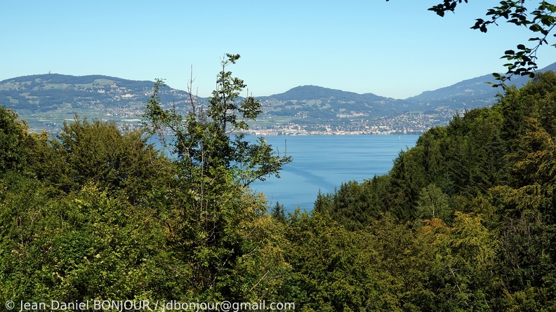 Sur les hauts de St-Gingolph, vue arrière sur la rive Suisse du Lac Léman région Vevey 2020-09-04 010.JPG